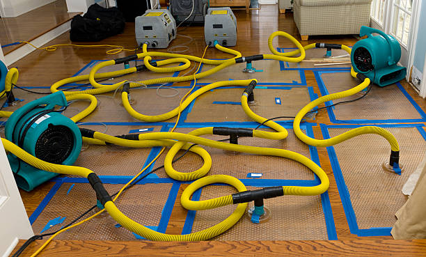 Professional Structural Drying And Dehumidification technician working in Marlin, TX